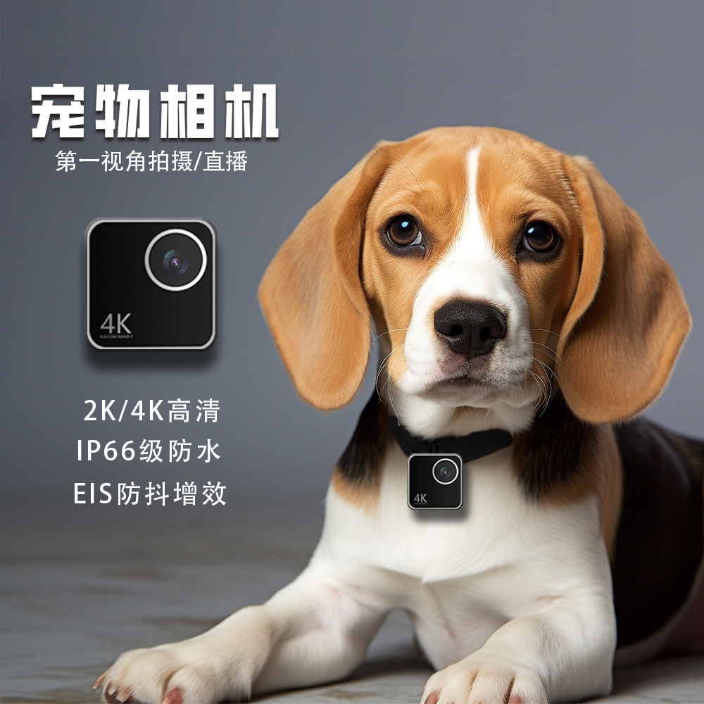 Cameras - Telecamera per animali domestici, gatti e